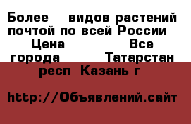 Более200 видов растений почтой по всей России › Цена ­ 100-500 - Все города  »    . Татарстан респ.,Казань г.
